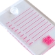 Transparent Lash Palette with Lid