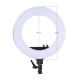 Лампа Kольцевая Bi-COLOR 18 (45см) 50W